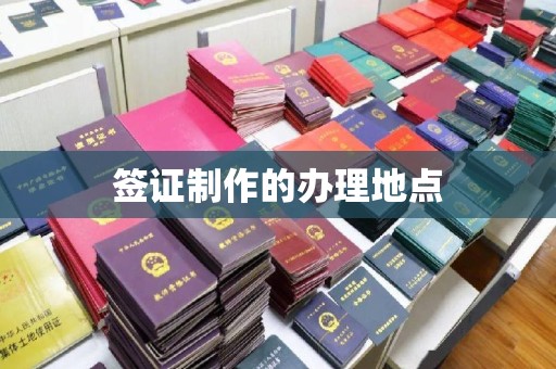 外埔签证制作的办理地点