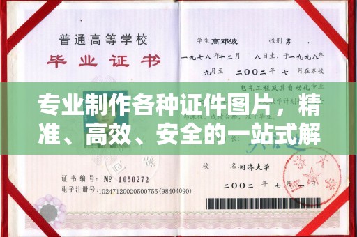 紫云专业制作各种证件图片，精准、高效、安全的一站式解决方案