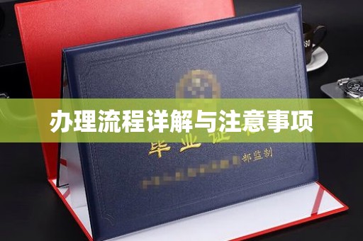 龙州办理流程详解与注意事项